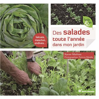 Des salades toute l´année dans mon jardin